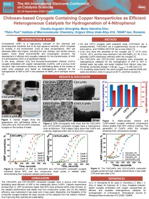 Poster 4th IECCS.pdf